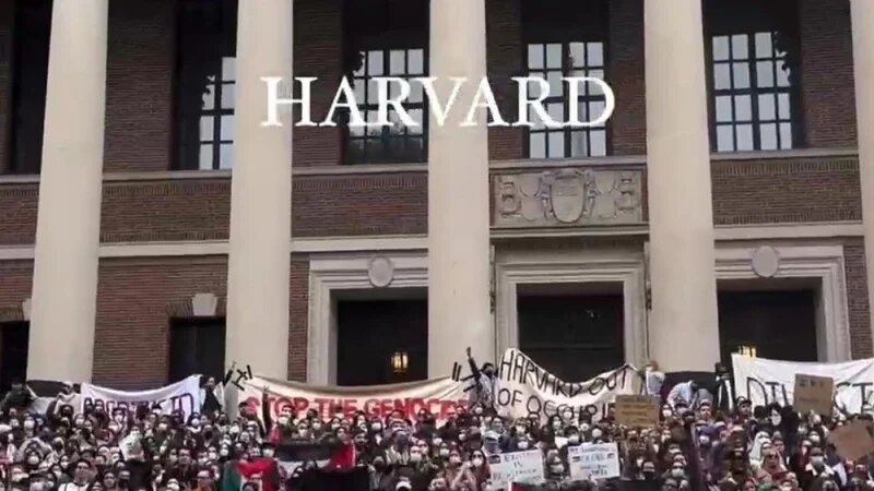 Kwa nini utawala wa Trump umebatilisha kibali cha Chuo Kikuu cha Harvard cha kuandikisha wanafunzi wa kigeni