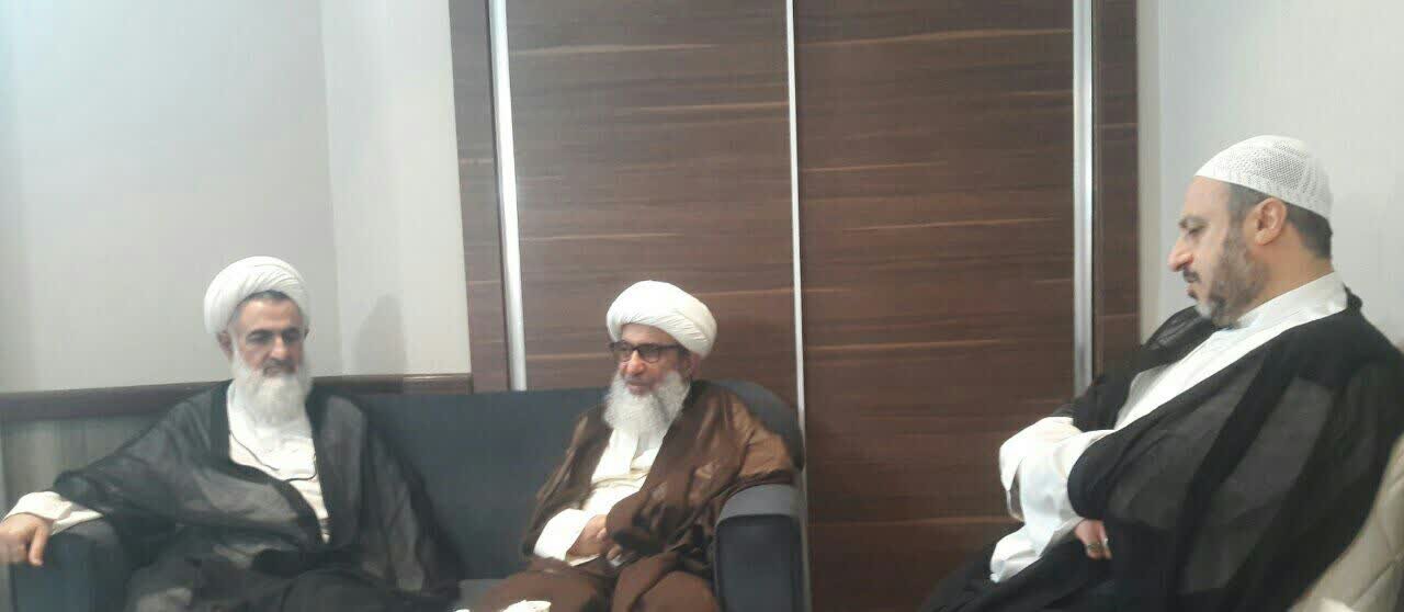 دیدار آیتالله سیفی مازندرانی با مسئولان بعثههای مراجع در سرزمین وحی