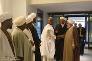 Photos: Secretary General of AhlulBayt World Assembly arrives in capital of Niger