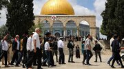 Galeri Foto: Ratusan Zionis Ekstremis Serbu Masjid al-Aqsha