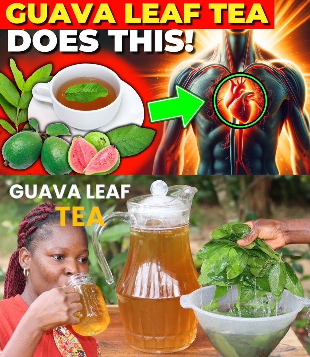 Faida za Kustaajabisha za Kiafya za Majani ya Gwava (Mapera) Katika Maisha ya Kila Siku