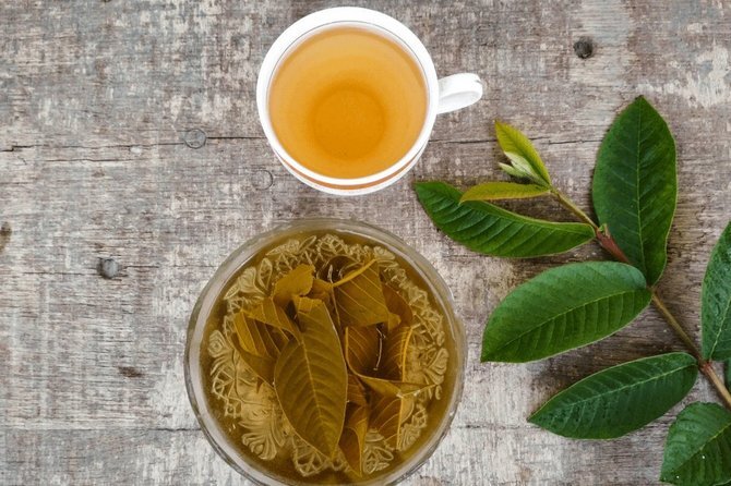 Faida za Kustaajabisha za Kiafya za Majani ya Gwava (Mapera) Katika Maisha ya Kila Siku