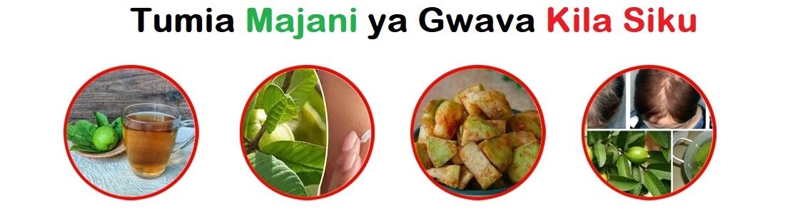 Faida za Kustaajabisha za Kiafya za Majani ya Gwava (Mapera) Katika Maisha ya Kila Siku