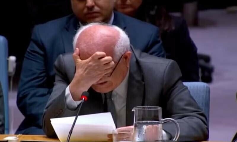 فلسطینی مندوب اقوام متحدہ کی سلامتی کونسل میں بچوں کی تکالیف بیان کرتے ہوئے رو پڑے + ویڈیو