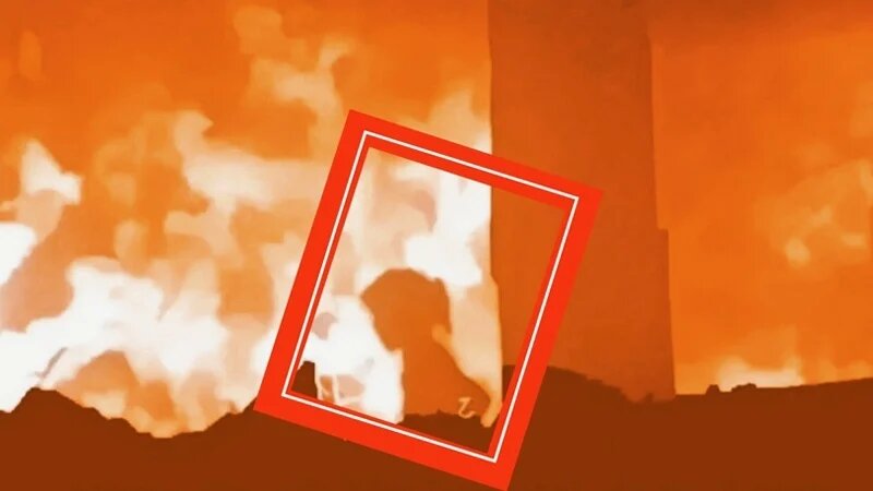 "没有以色列的世界，将是孩子们更美好的家园"——社交平台X用户对加沙被轰炸学校内巴勒斯坦儿童呼救声的声讨