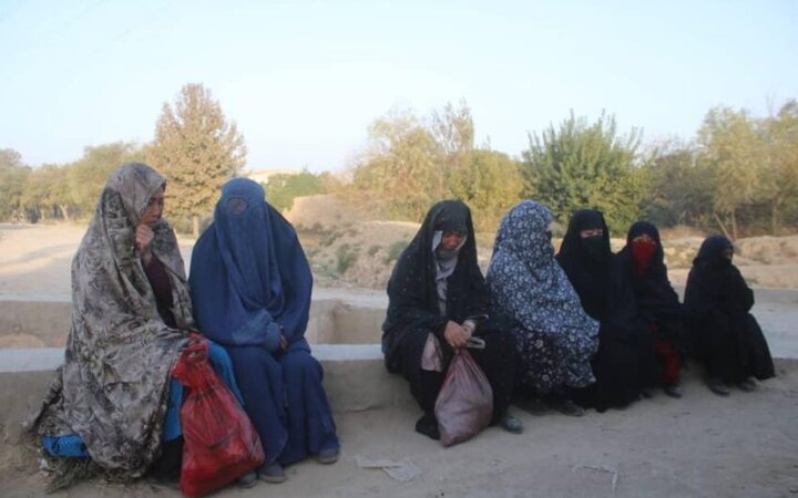 معضل اشتغال و فقر در افغانستان / زنان شیعه استان بلخ با چنگ و دندان علیه گرسنگی مبارزه می‌کنند