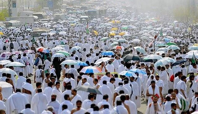 Saudi ministry urges Hajj pilgrims to stay sheltered during peak heat hours