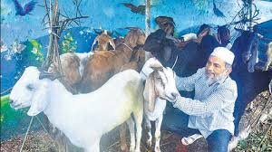 दिल्ली मे खुले मे की कुर्बानी तो लगेगा जुर्माना 