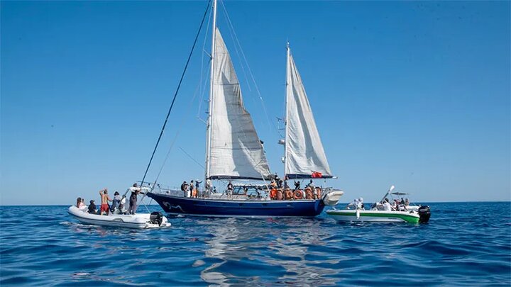 Un barco hacia Gaza, un grito contra el bloqueo