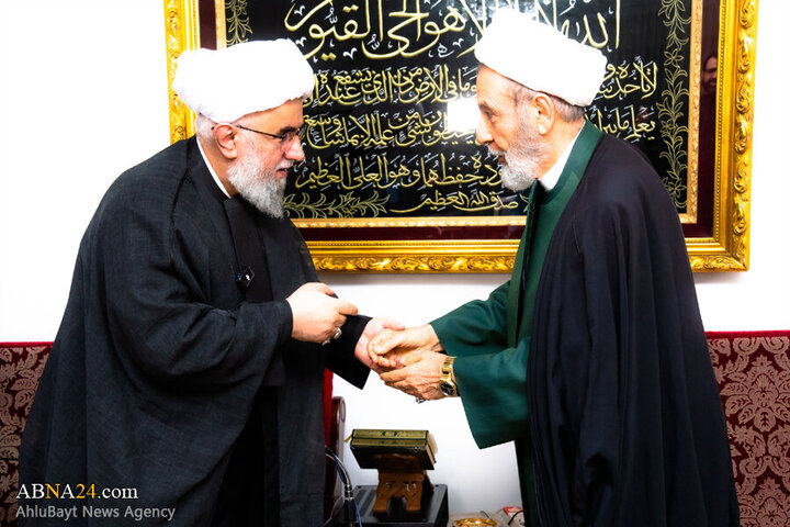 مغربی افریقہ کے علماء کی آیت اللہ رمضانی سے ملاقات