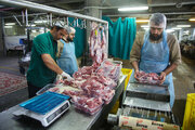 Photos: Packaging of Eid al-Adha sacrificial meat at Hazrat Masoumeh Holy Shrine