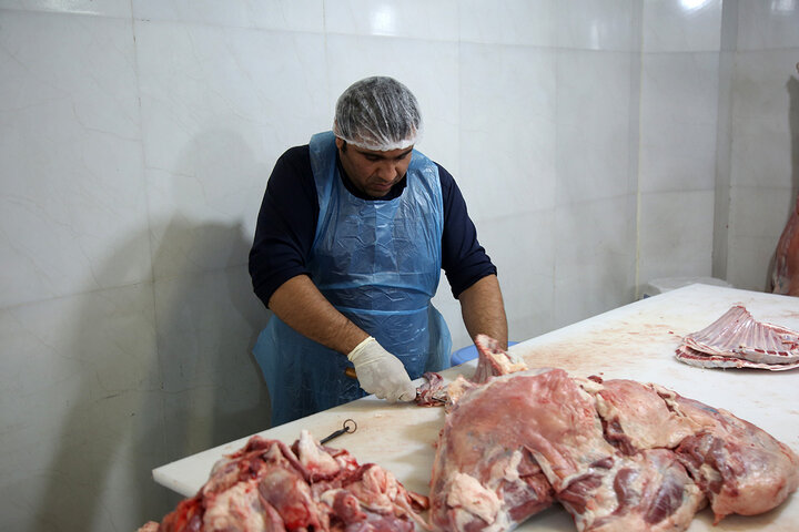 Photos: Packaging of Eid al-Adha sacrificial meat at Hazrat Masoumeh Holy Shrine