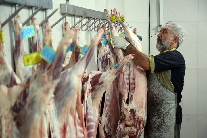 Photos: Packaging of Eid al-Adha sacrificial meat at Hazrat Masoumeh Holy Shrine