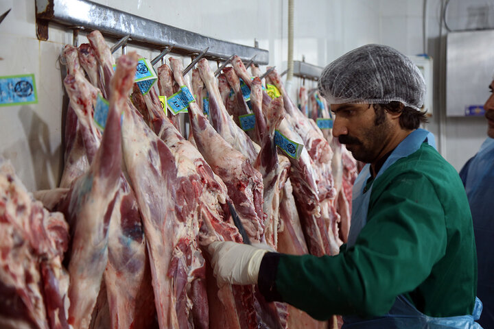 Photos: Packaging of Eid al-Adha sacrificial meat at Hazrat Masoumeh Holy Shrine
