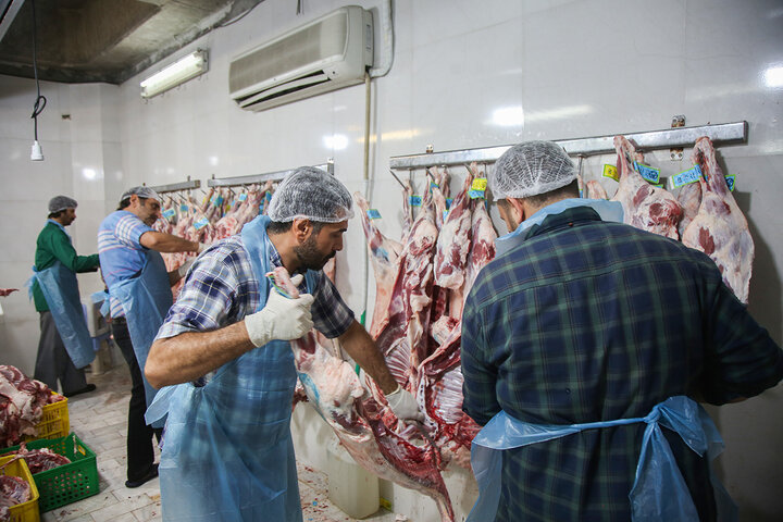 Photos: Packaging of Eid al-Adha sacrificial meat at Hazrat Masoumeh Holy Shrine