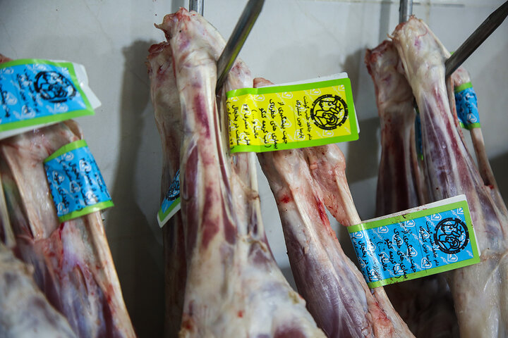 Photos: Packaging of Eid al-Adha sacrificial meat at Hazrat Masoumeh Holy Shrine