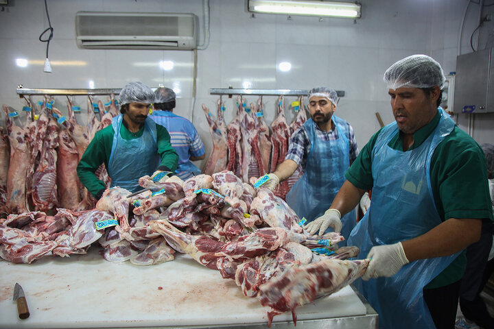 Photos: Packaging of Eid al-Adha sacrificial meat at Hazrat Masoumeh Holy Shrine