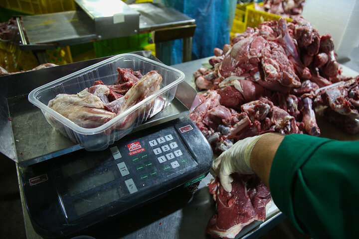 Photos: Packaging of Eid al-Adha sacrificial meat at Hazrat Masoumeh Holy Shrine