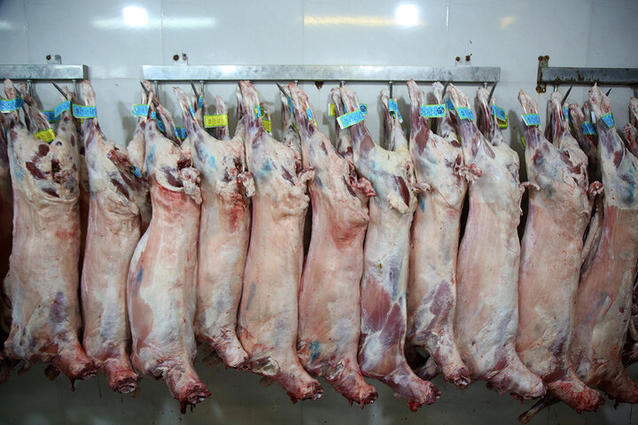 Photos: Packaging of Eid al-Adha sacrificial meat at Hazrat Masoumeh Holy Shrine