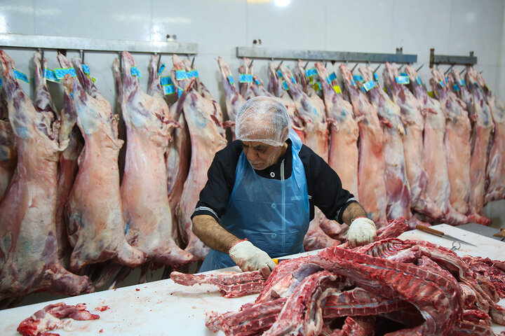 Photos: Packaging of Eid al-Adha sacrificial meat at Hazrat Masoumeh Holy Shrine