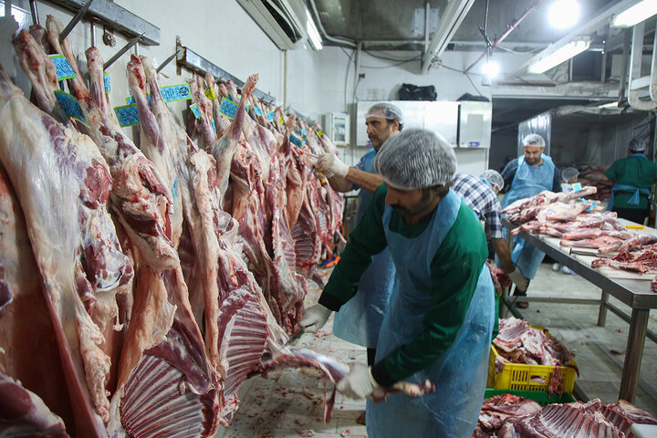 Photos: Packaging of Eid al-Adha sacrificial meat at Hazrat Masoumeh Holy Shrine