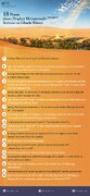 Infografic: 18 points about Prophet Muhammad's sermon on Ghadir Khum