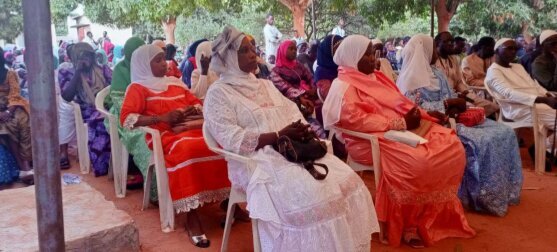 Photos: Eid al-Ghadir celebration held in Senegal