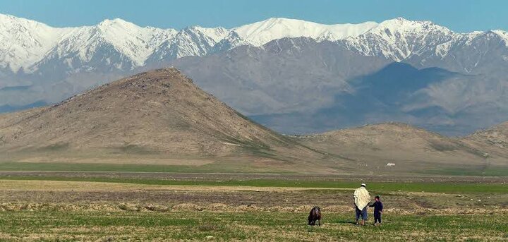 هشدار یوناما در مورد افت ۵۰ درصدی تولیدات کشاورزی در افغانستان