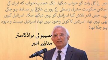 ویڈیو | ایک صہیونی کا خواب جو شاید شرمندہ تعبیر ہو رہا ہے !