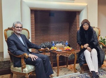 Naibu Waziri wa Mambo ya Nje wa Afrika Kusini | "Tunasimama bega kwa bega na Iran"