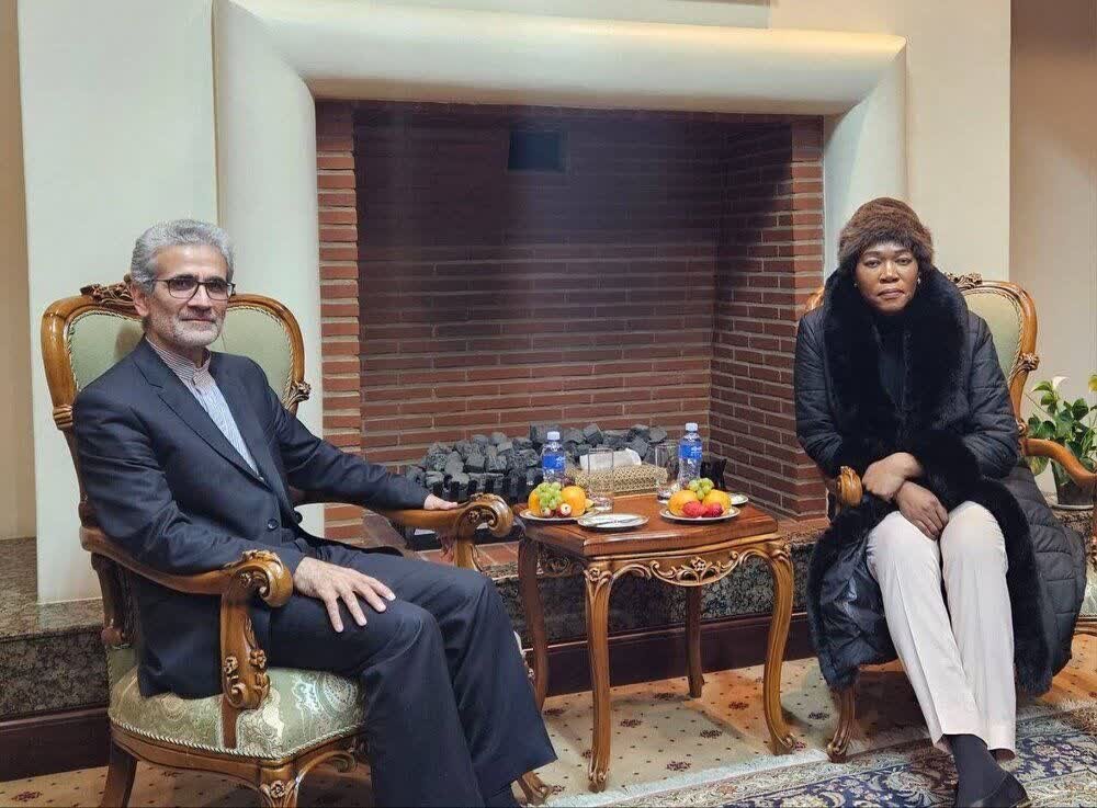 Naibu Waziri wa Mambo ya Nje wa Afrika Kusini | "Tunasimama bega kwa bega na Iran"