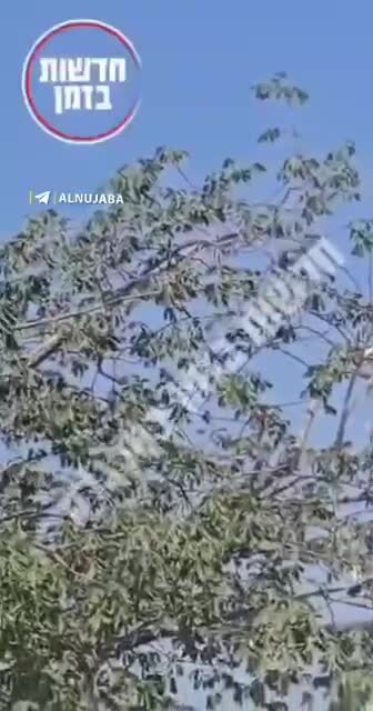 ویدیو |  بالگرد اسرائیلی در تعقیب شاهد ایرانی ناکام ماند