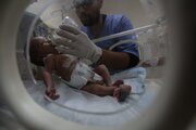 PCHR warns of infant deaths due to milk shortage in Gaza
