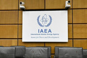 El Parlamento iraní obliga al gobierno a suspender la cooperación con la Agencia Internacional de Energía Atómica