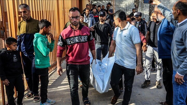 Gaza death toll rises to 56,077 as 79 killed in 24 hours of Israeli strikes