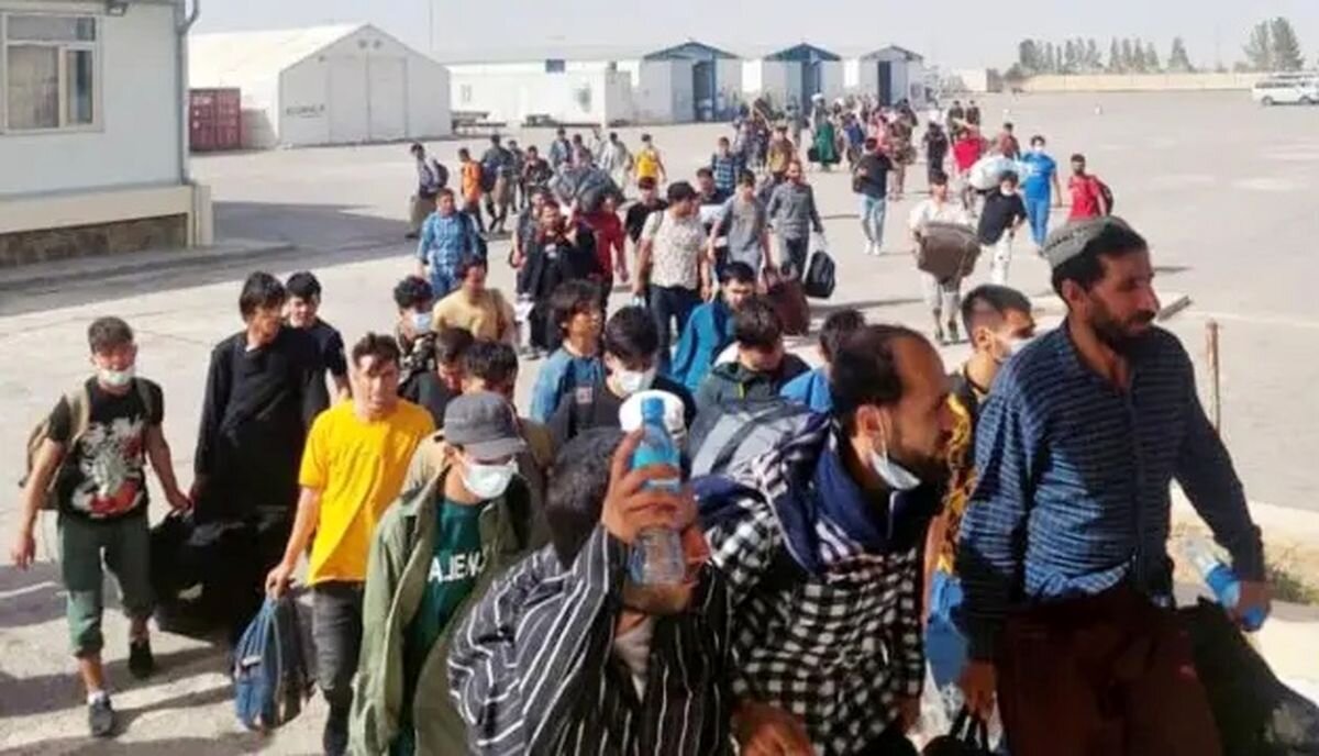 رشد ۴ برابری دستگیری اتباع خارجی
