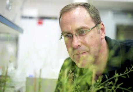 "Îran li navendên perwerdeya balafirvan û endazyarên pîşesaziyên çekdarî ya Îsraîlê darbelek giran lê xist."