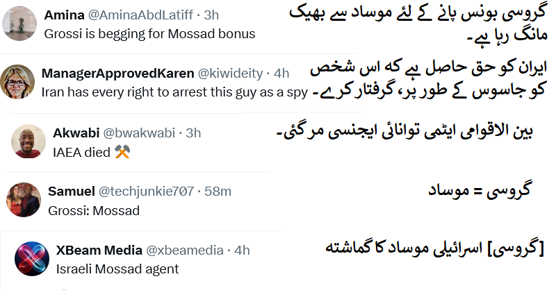 رافیل گروسی ایران کے خلاف موساد کا ایجنٹ ہے، غیر ملکی صارفین