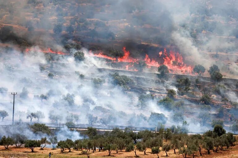 هآرتس: أهل الضفة الغربية يذبحون بهدوء