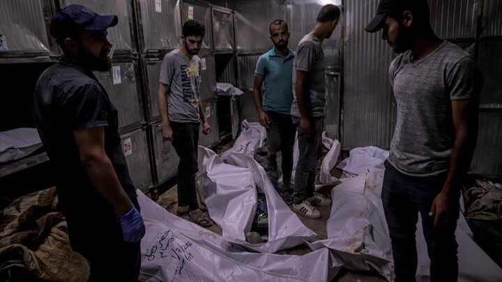 Informe fotográfico |  Continúan los crímenes de los militares sionistas en Gaza