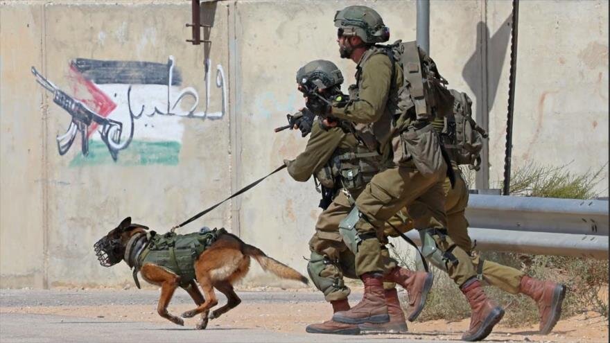 L’arme brutale : des chiens dressés envoyés par l’Europe pour soutenir la répression sioniste contre les Palestiniens