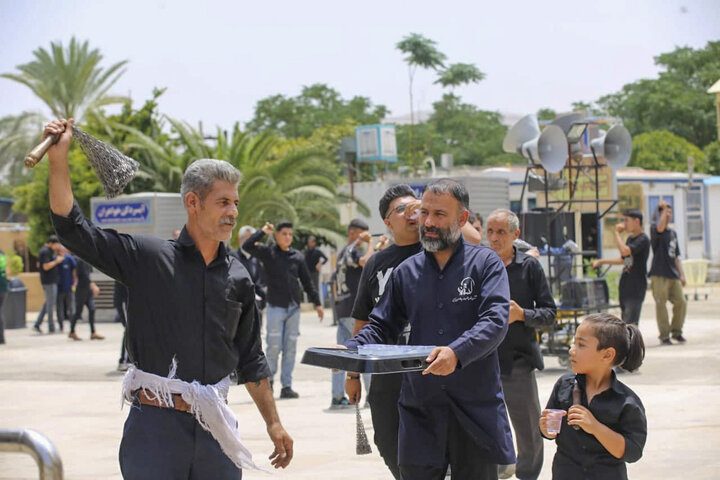 تصاویر| عزاداری هیئات مذهبی شیراز در جوار حرم مطهر سیدعلاالدین حسین(ع)