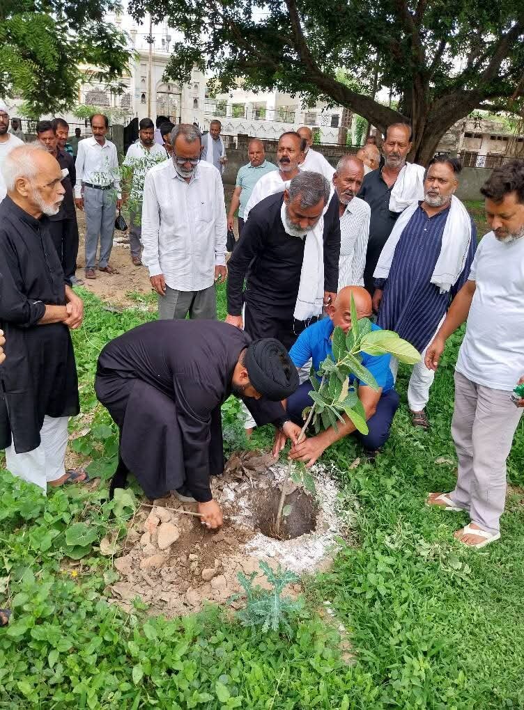 Tree plantation in Memory of Imam Hussain and Martyrs of Islam + Photos