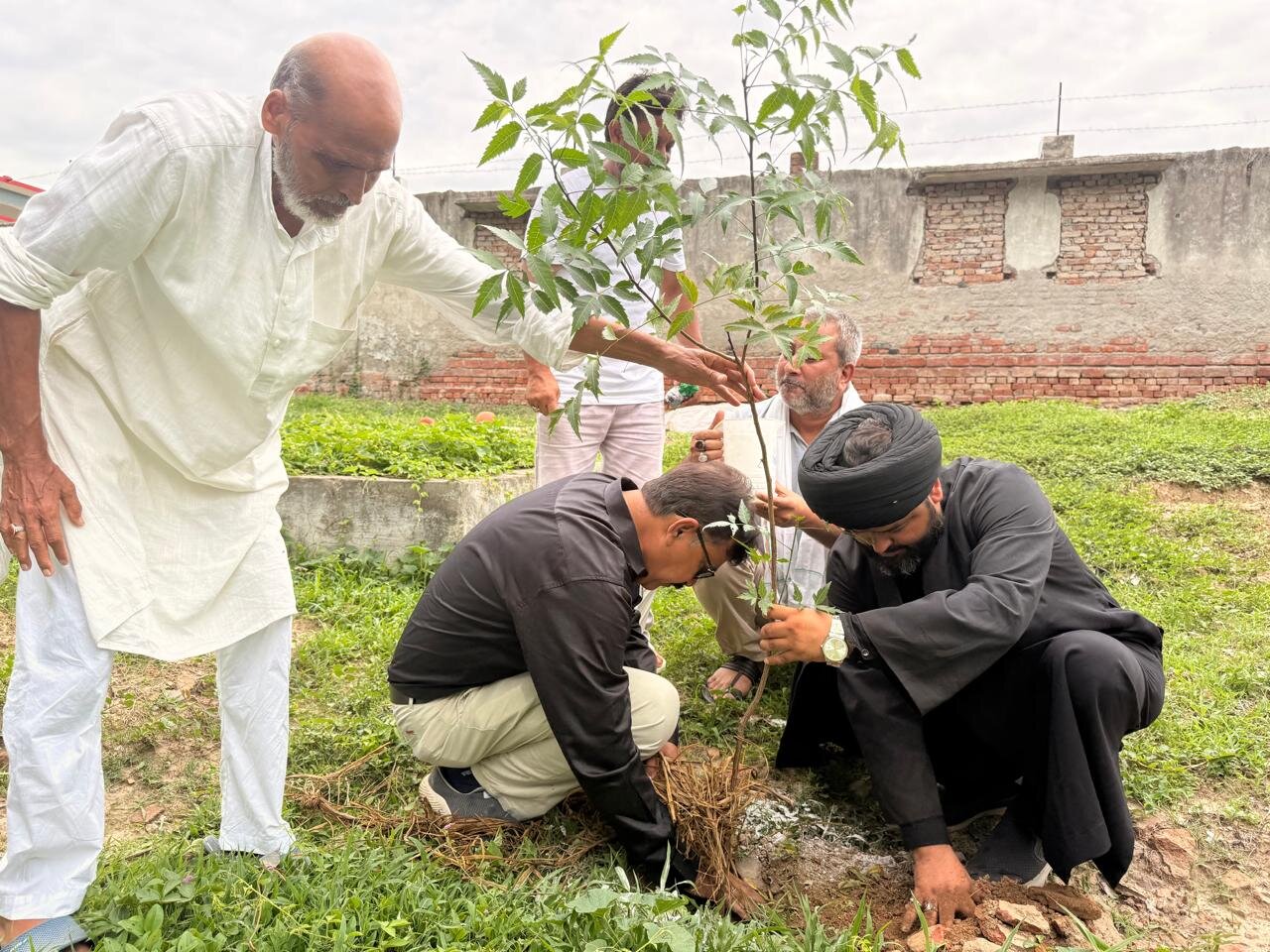 Tree plantation in Memory of Imam Hussain and Martyrs of Islam + Photos