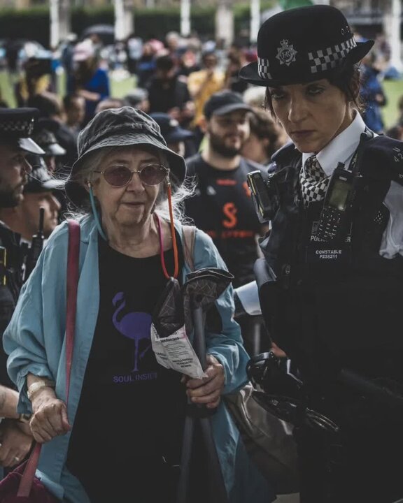 Photos: London police brutally crack down on Palestinian supporters