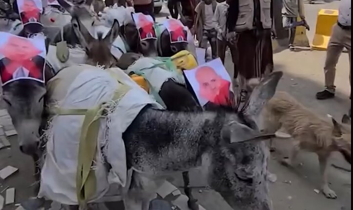 Donkeys participate in angry demonstration in Taiz, Yemen (+Video)