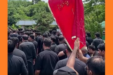 Видео | Ҹәнуби Корејанын пајтахтында Ашура ҝүнү әзадарлыг јүрүшү