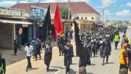 تقرير مصور/ موكب عزاء عاشوراء في مدينة يولا النيجيرية