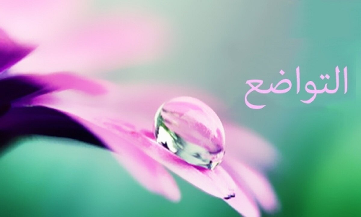 تواضع؛ پلی به سوی عزت واقعی در آموزه‌های اسلامی