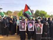 Photos: Ashura mourning ceremony held in Niger